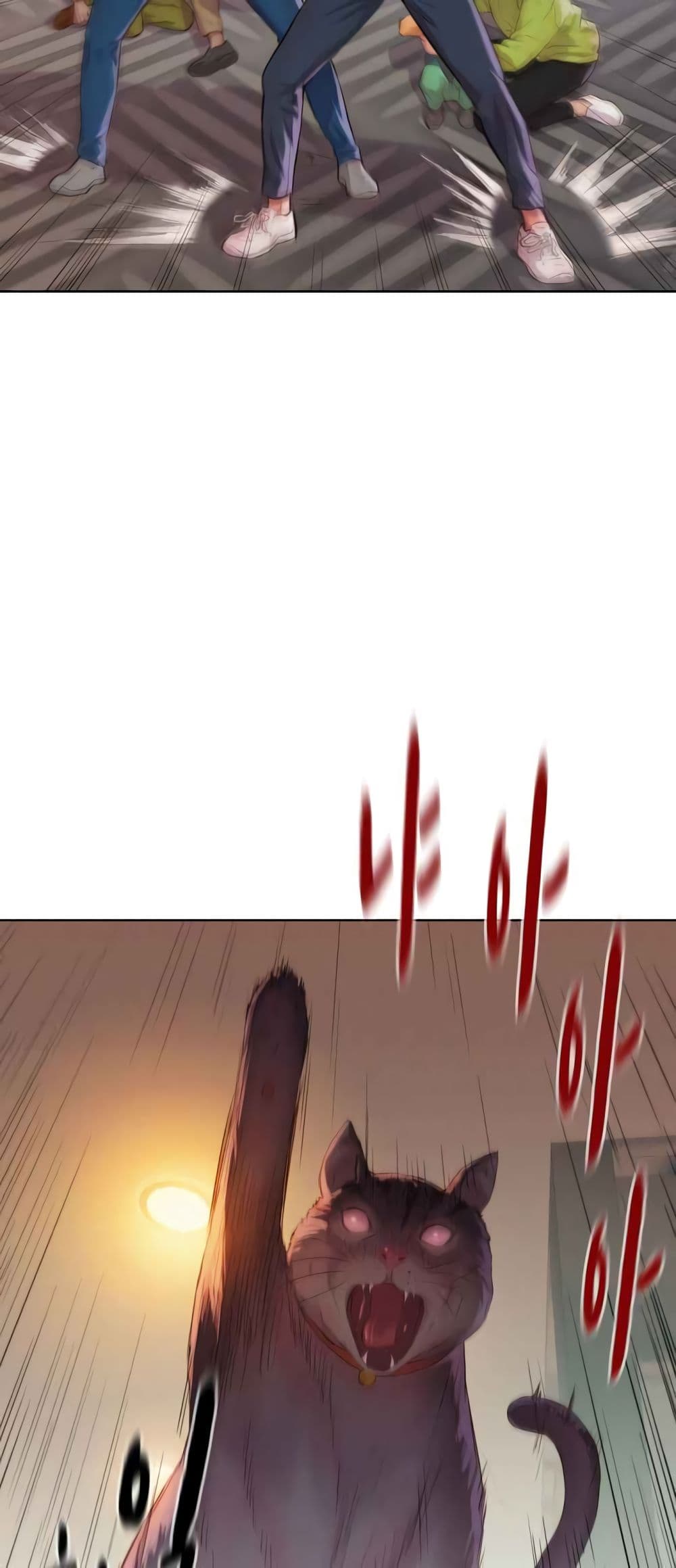 2500213511.jpg