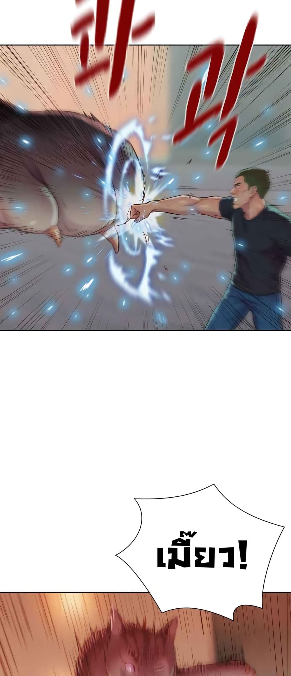 2500213991.jpg