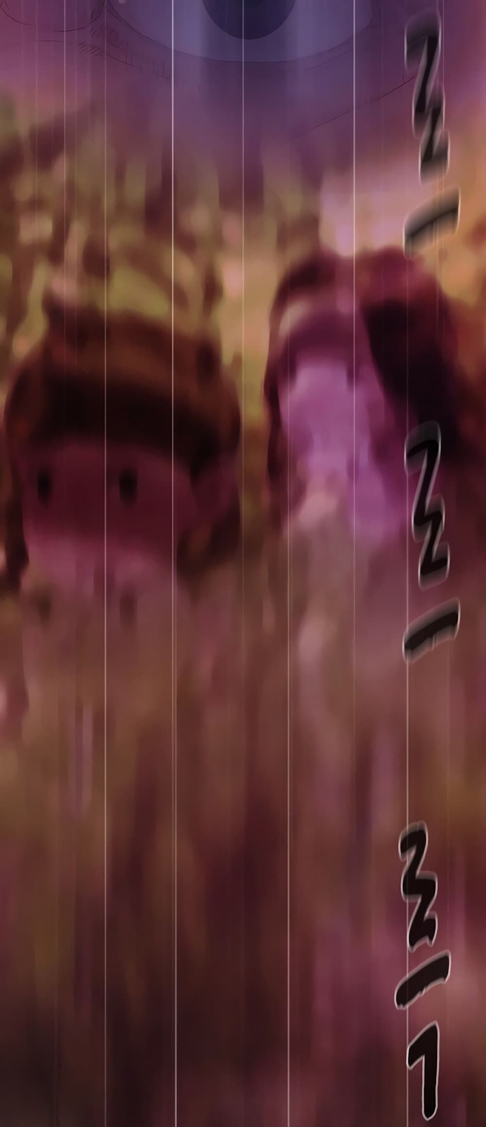 2500225386.jpg