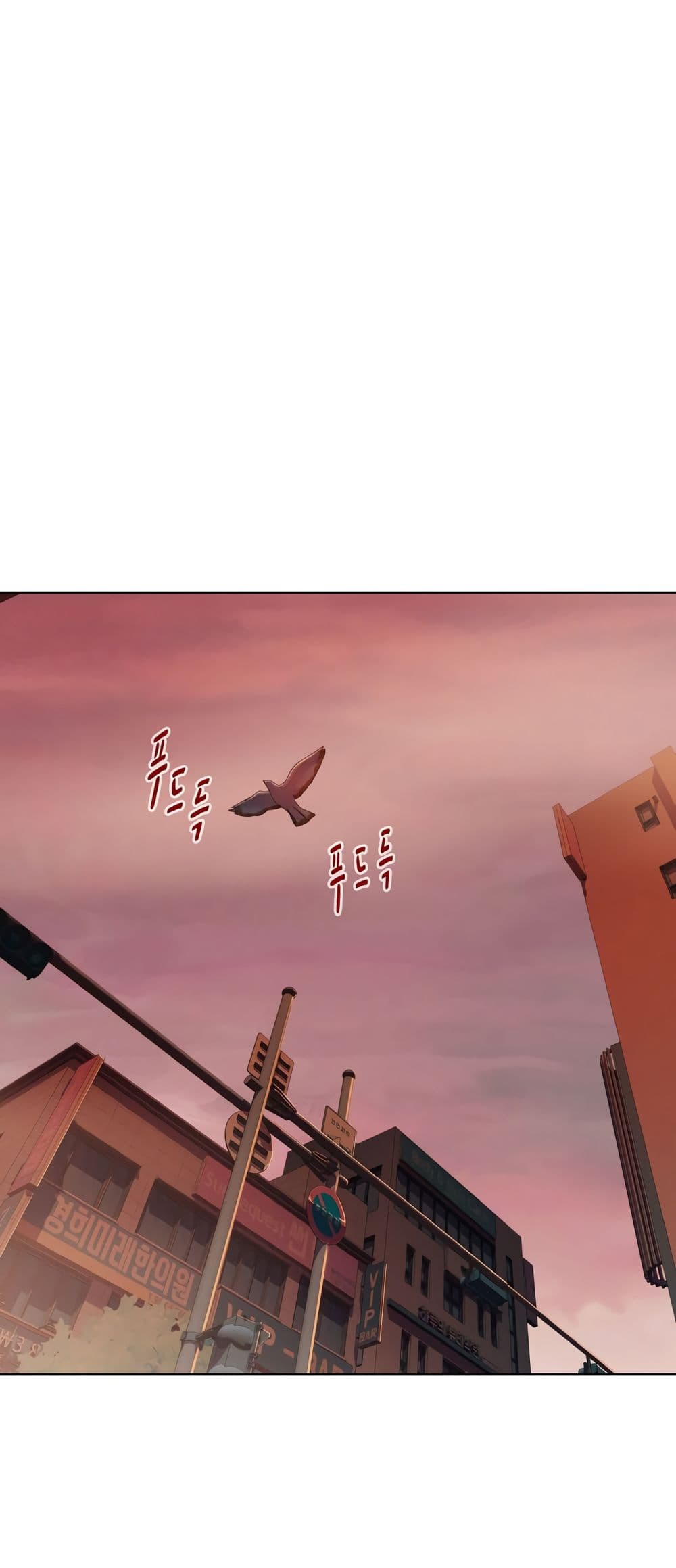 2500229675.jpg