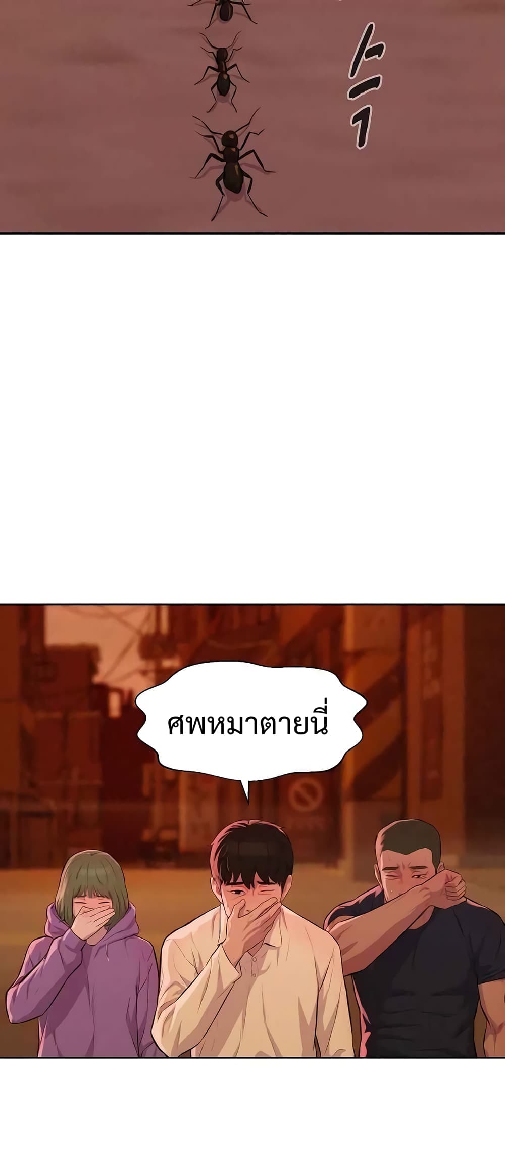 2500238253.jpg