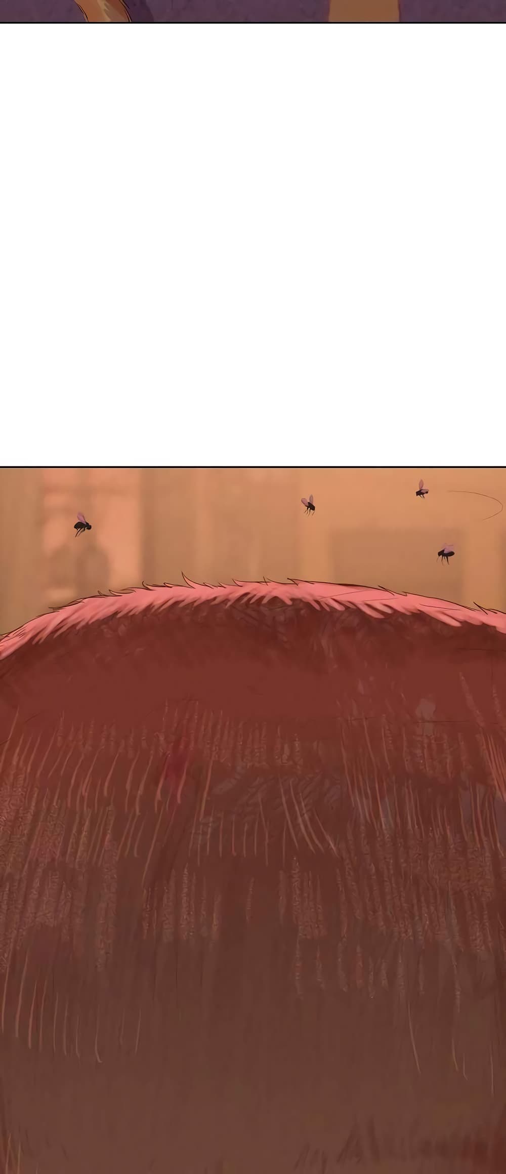 2500238413.jpg