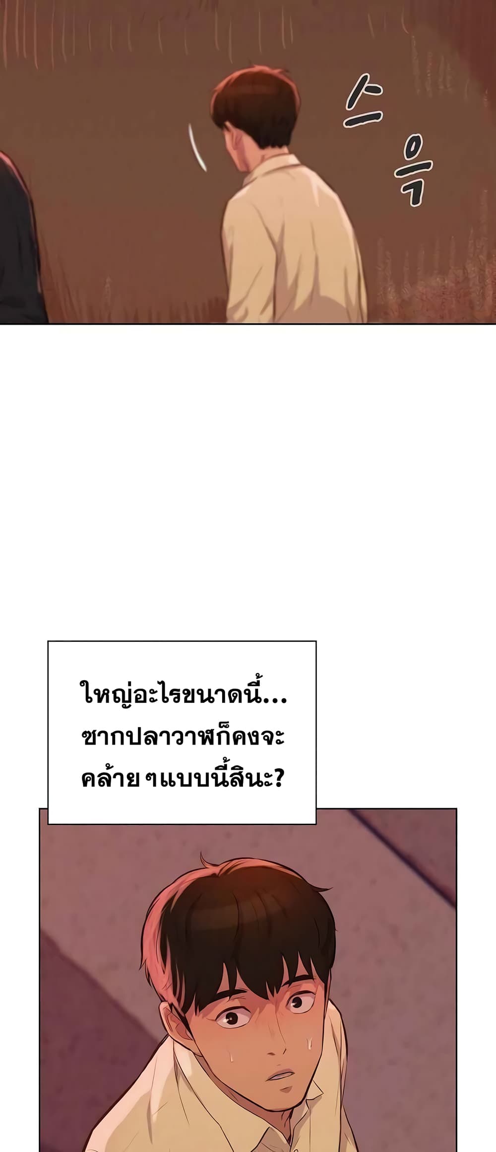 2500238445.jpg