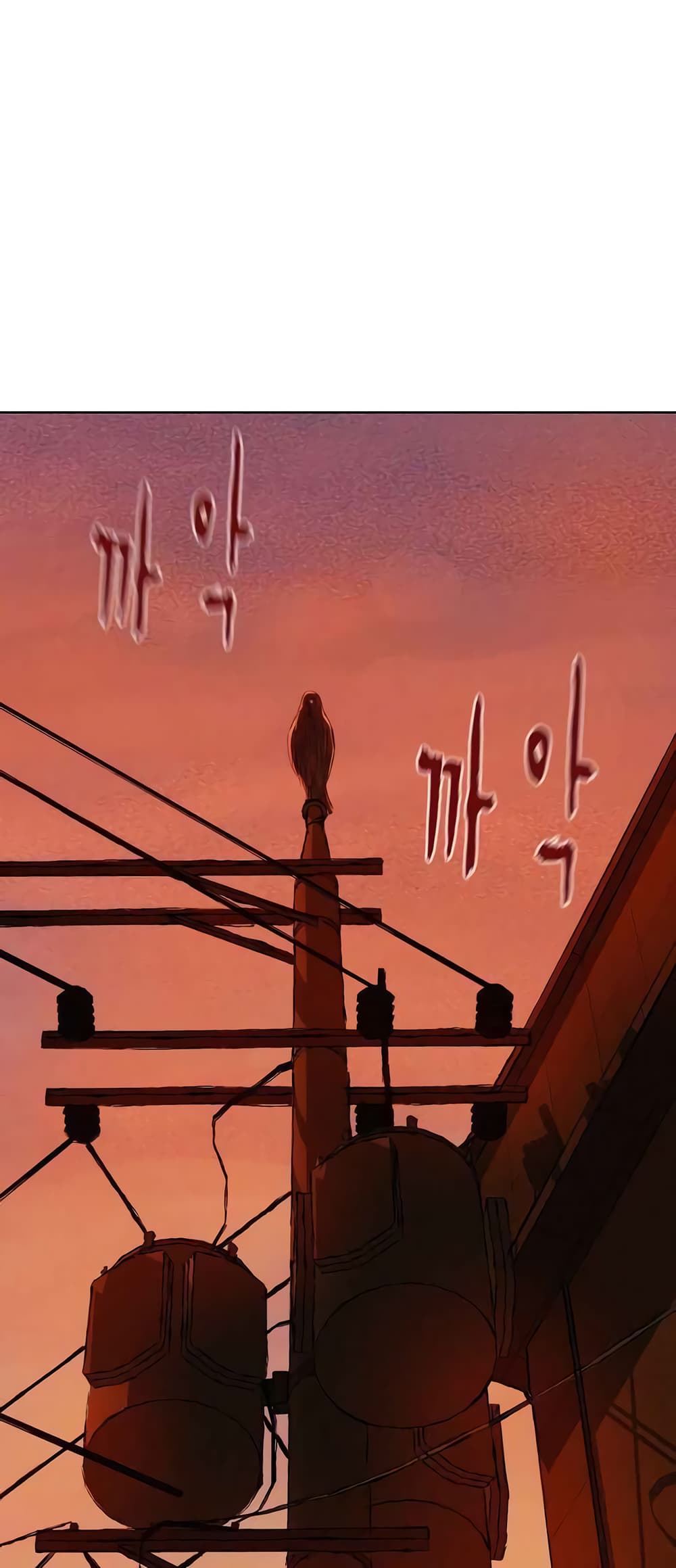 2500238541.jpg
