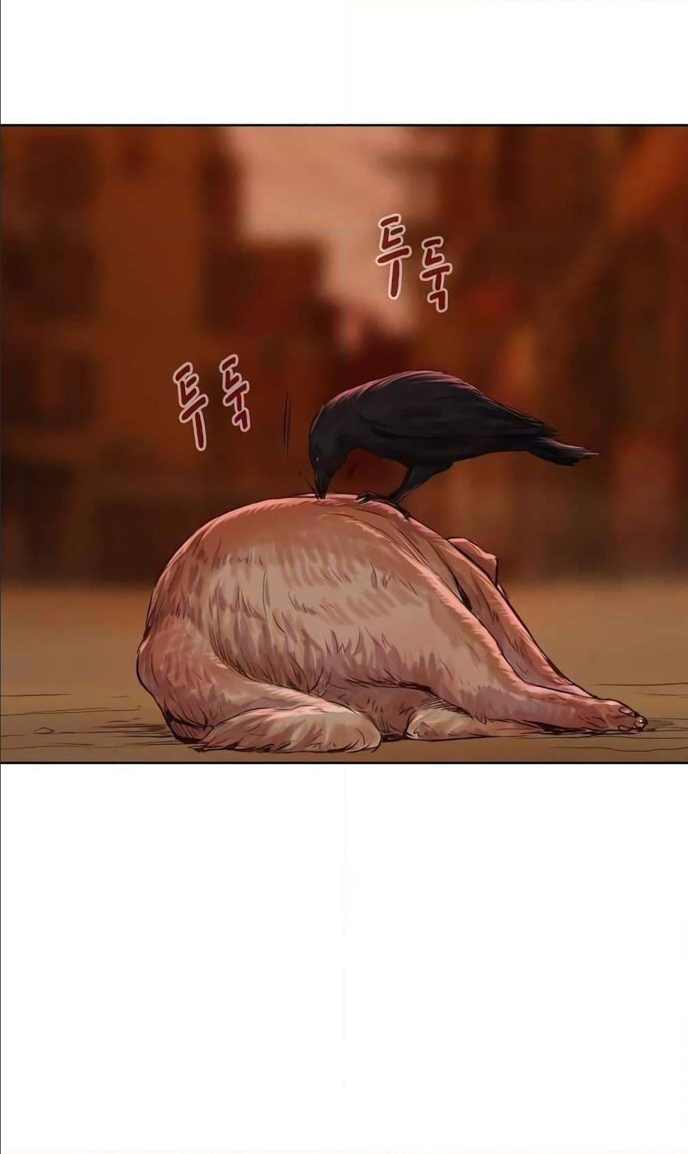 2500241358.jpg