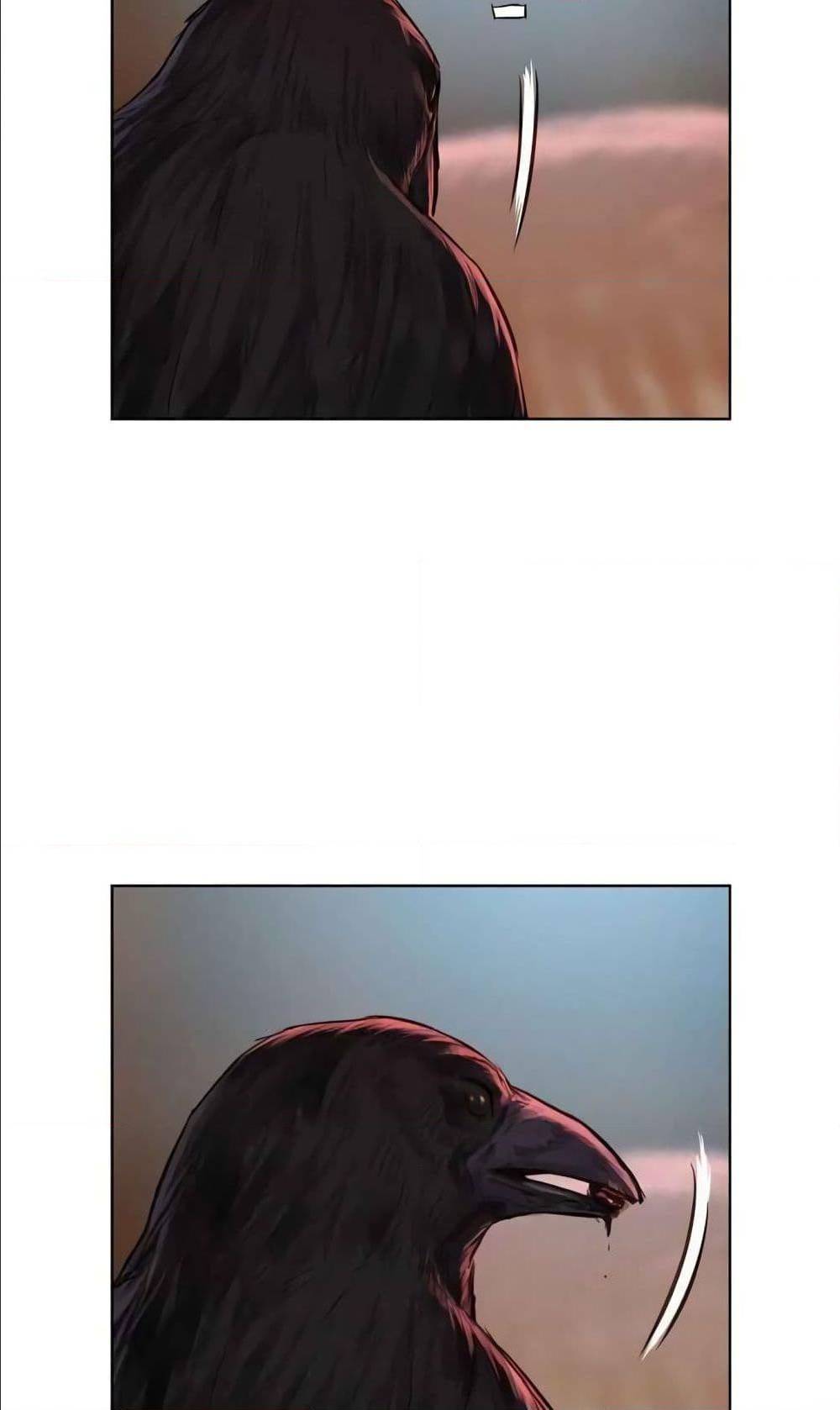 2500241582.jpg