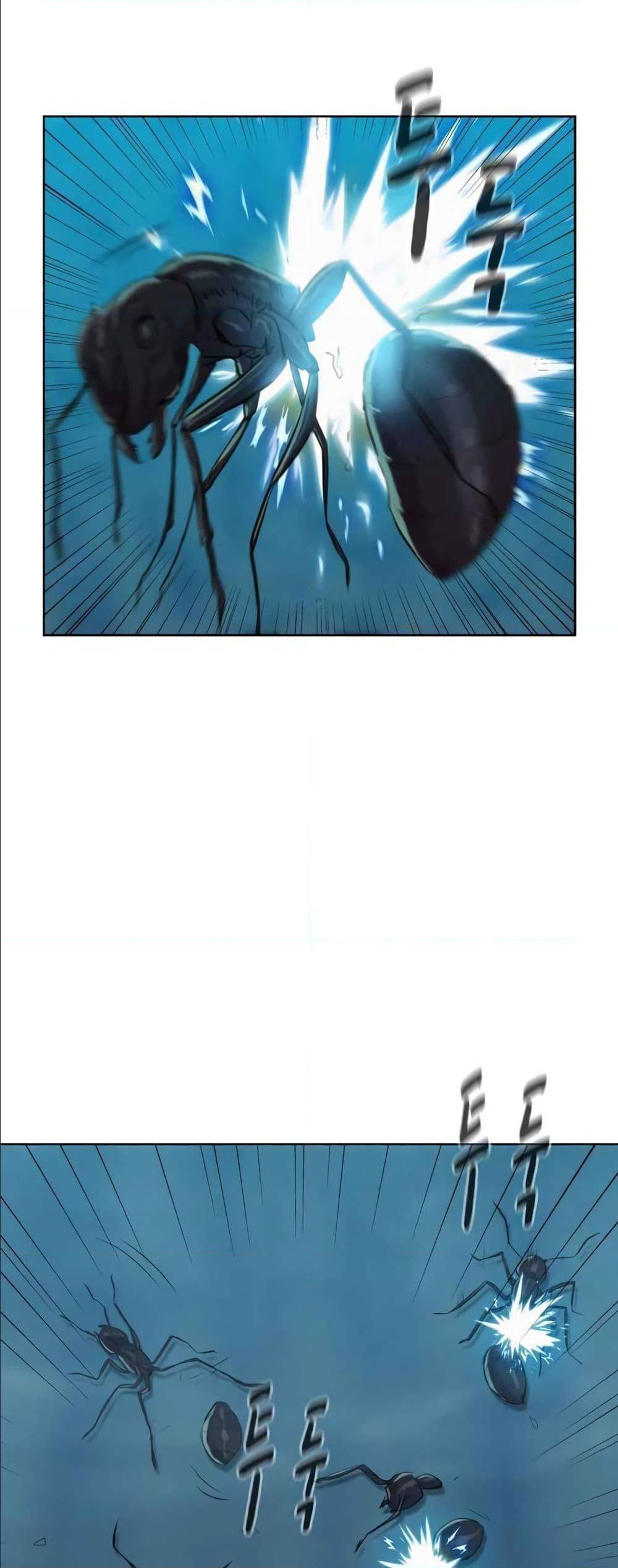 2500252496.jpg
