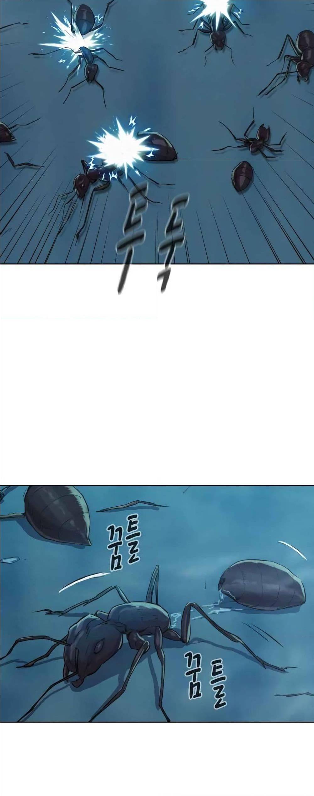 2500252528.jpg