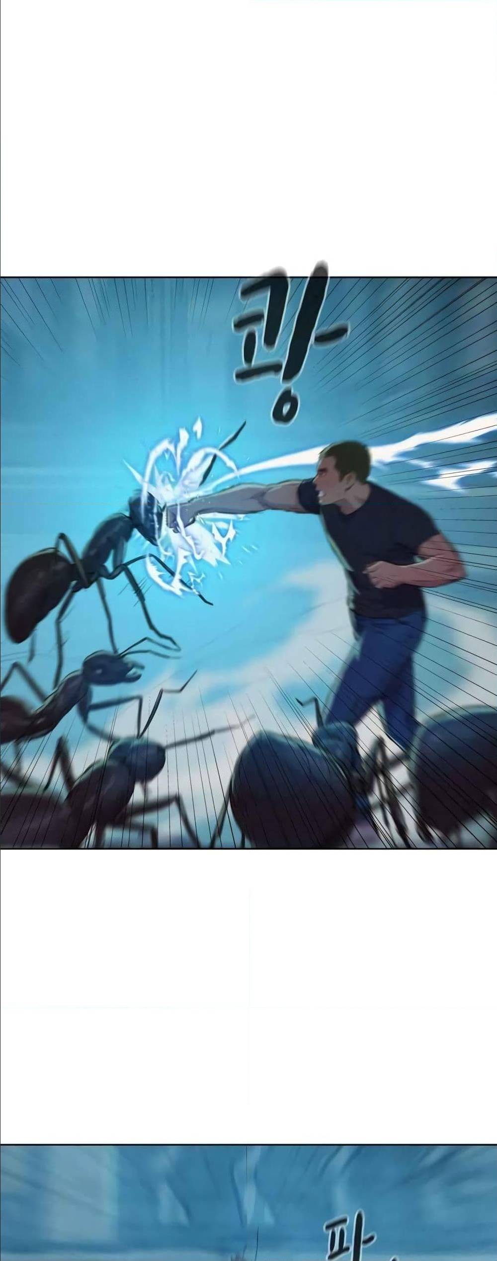 2500252592.jpg