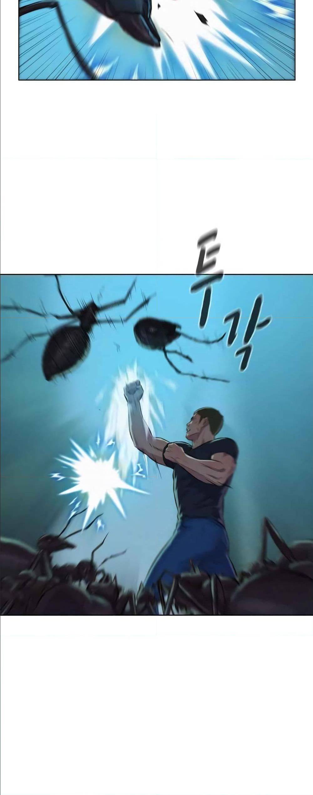 2500252656.jpg