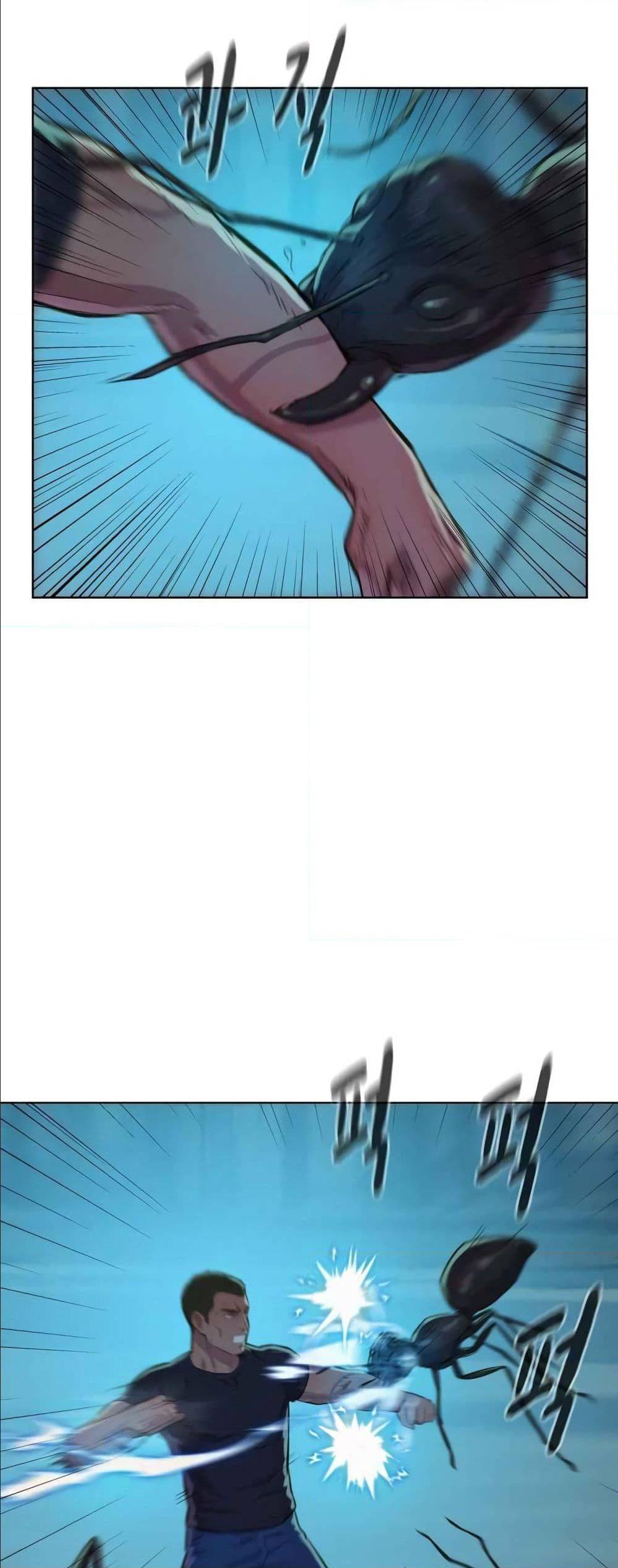 2500252688.jpg