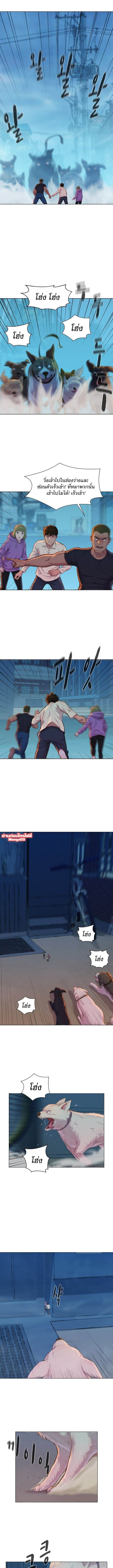 2500262932.jpg