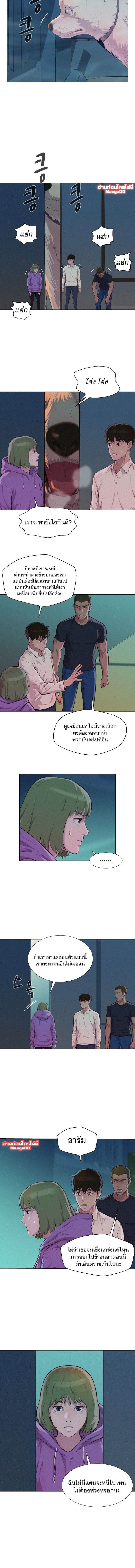 2500262964.jpg