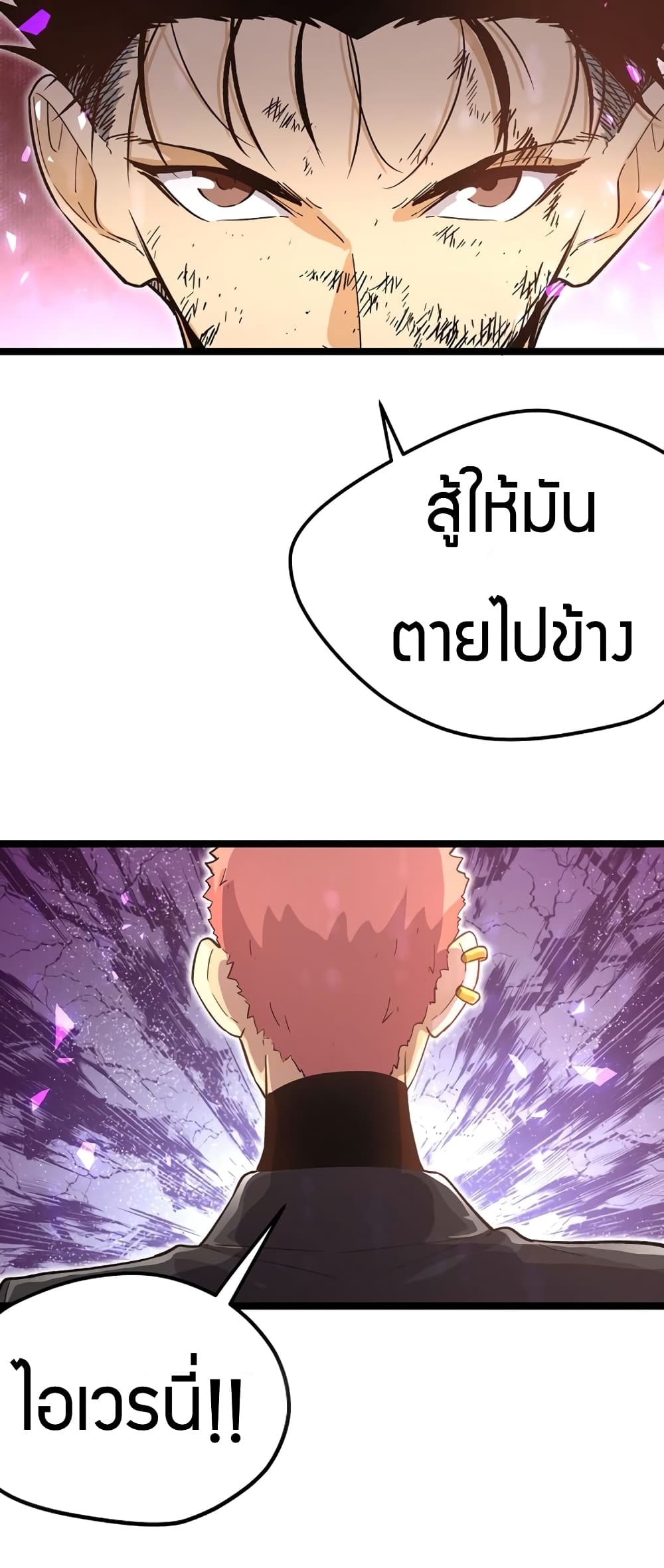 100037677.jpg