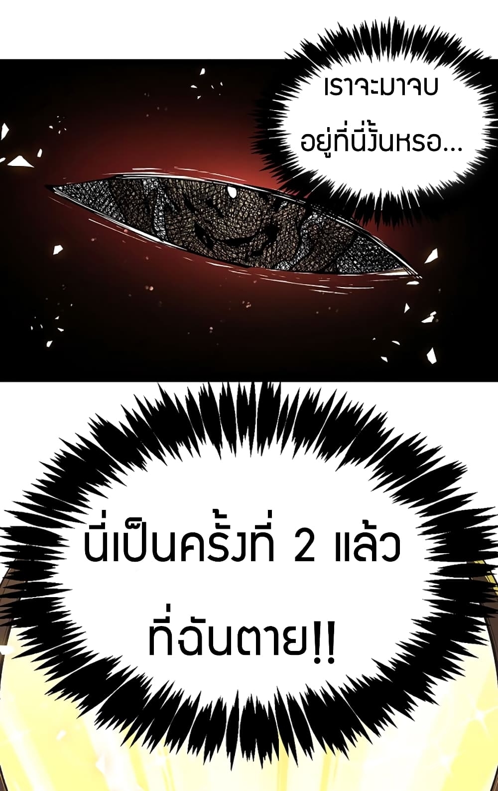 100041550.jpg