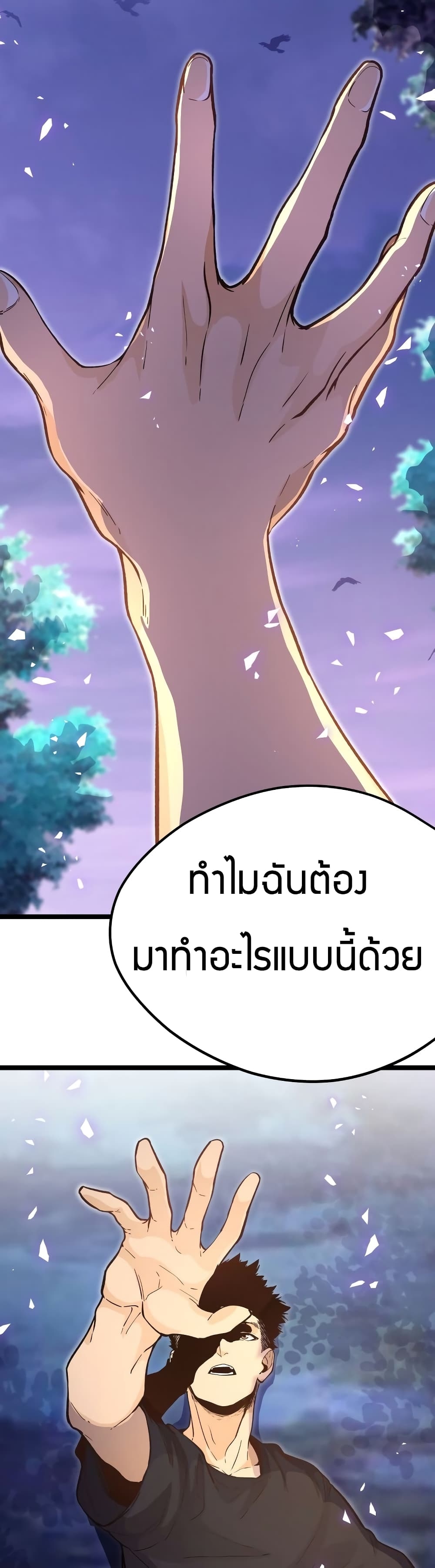 100055474.jpg