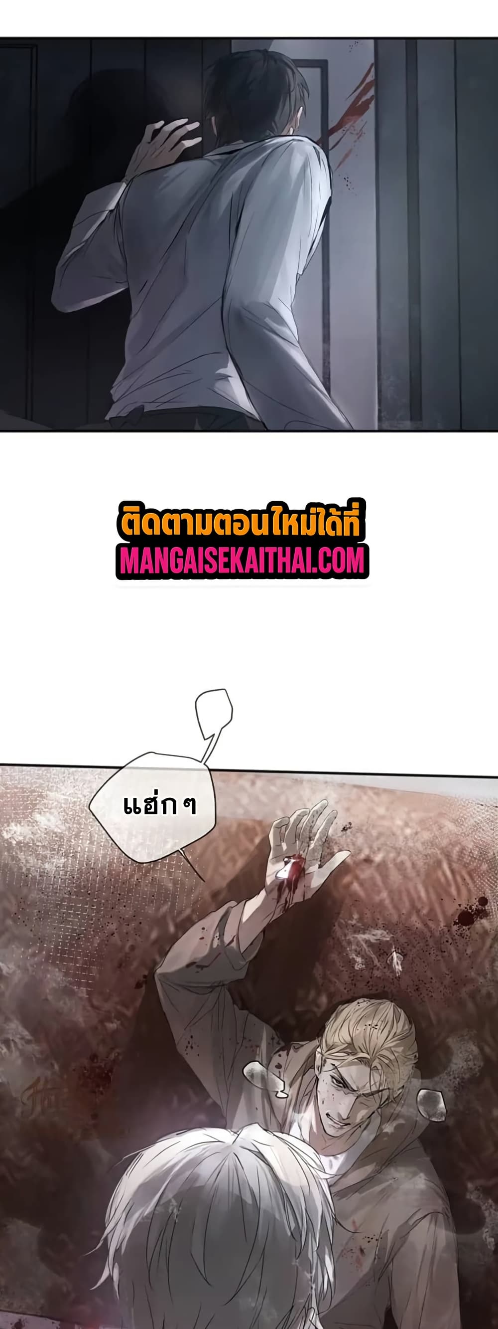 0009.jpg