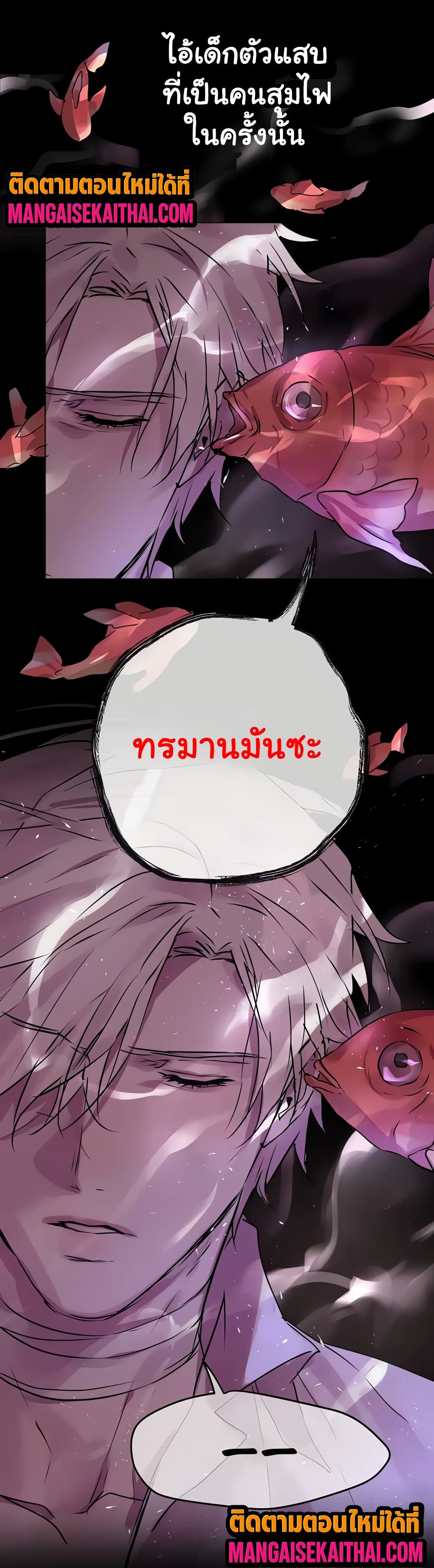 0015.jpg